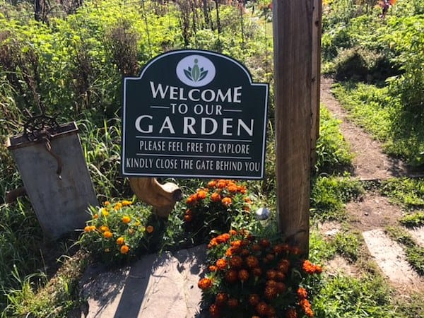 Discovering the Healing Garden