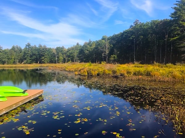 The Lodge at Woodloch: A four-season resort