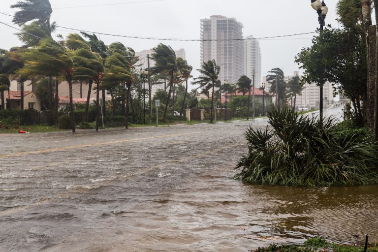 Hurricane Irma in Florida (credit: Adobe stock)