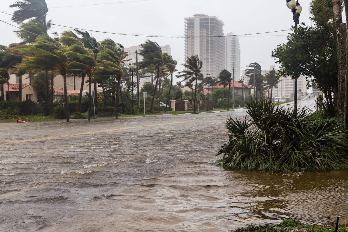 Hurricane Irma in Florida (credit: Adobe stock)