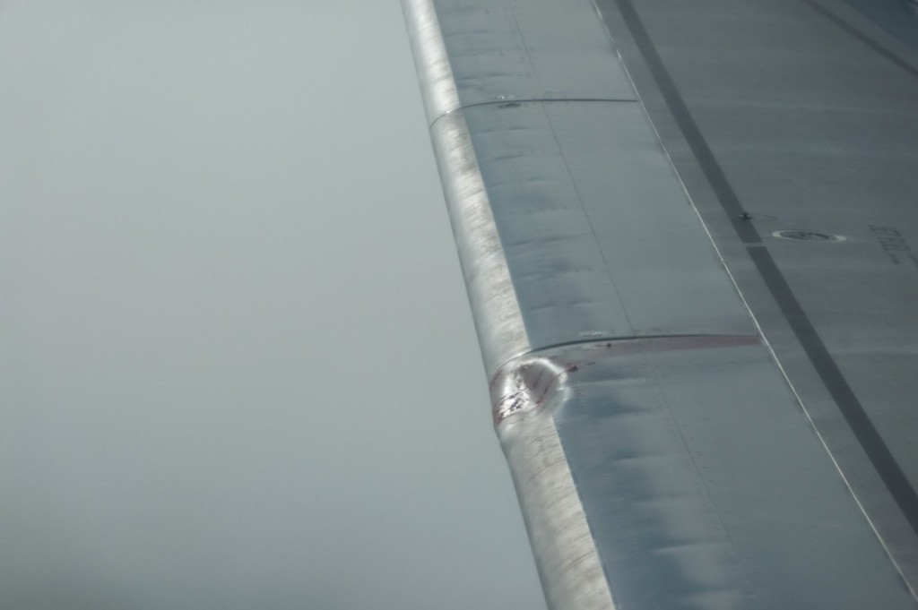 Another wing view after the bird strike