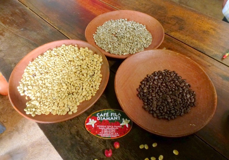 Pluma Hidalgo coffee from Huatulco