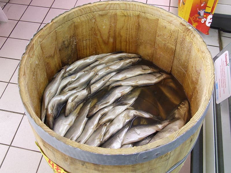 Herring at the market