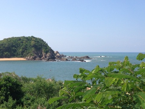 One of the bays surrounded by lush foliage
