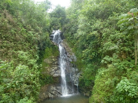 Plenty of places for hiking and exploring the outdoors
