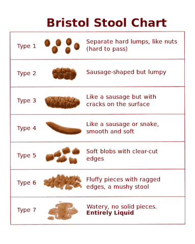 Vacation constipation Bristol Stool Chart