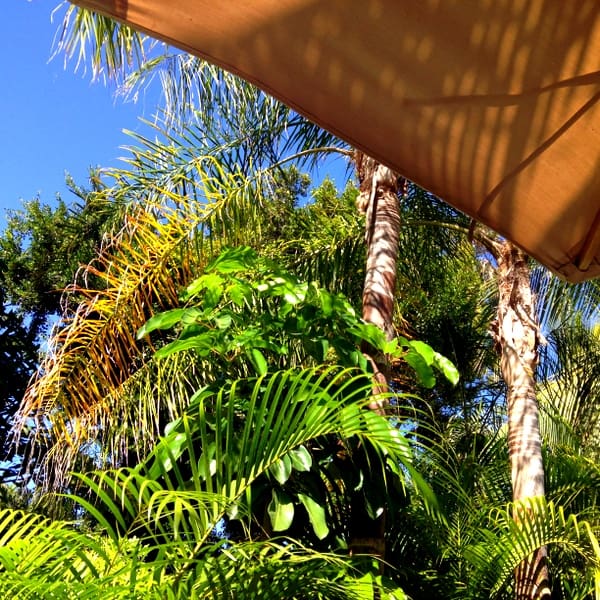 View from my lounge