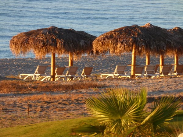 Palapas on the beach