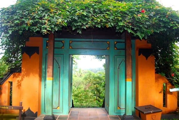 Losari Coffee Plantation (credit: Kay Dougherty)