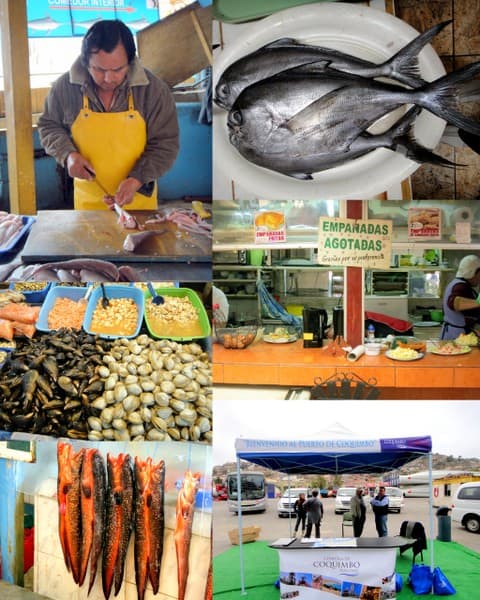 Scenes from the Coquimbo Fish Market