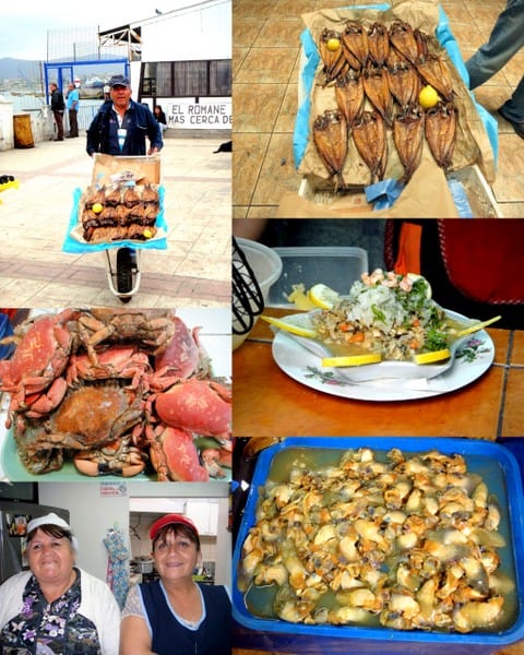 Scenes from the Coquimbo Fish Market
