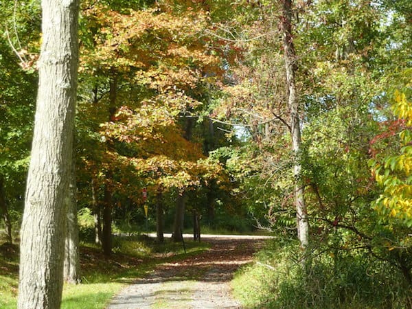 Rockefeller State Park Preserve
