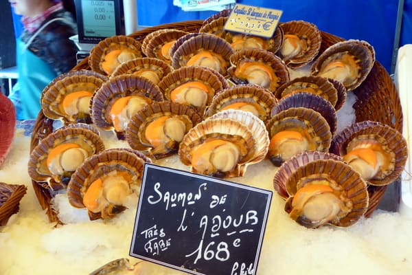 Coquille St. Jacques de Plongee (diver scallops)