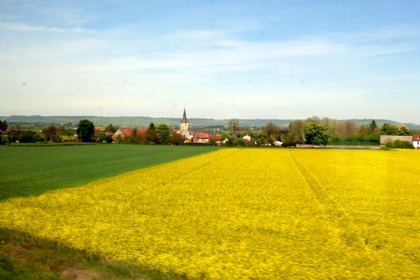 Contrasting colors and boundaries