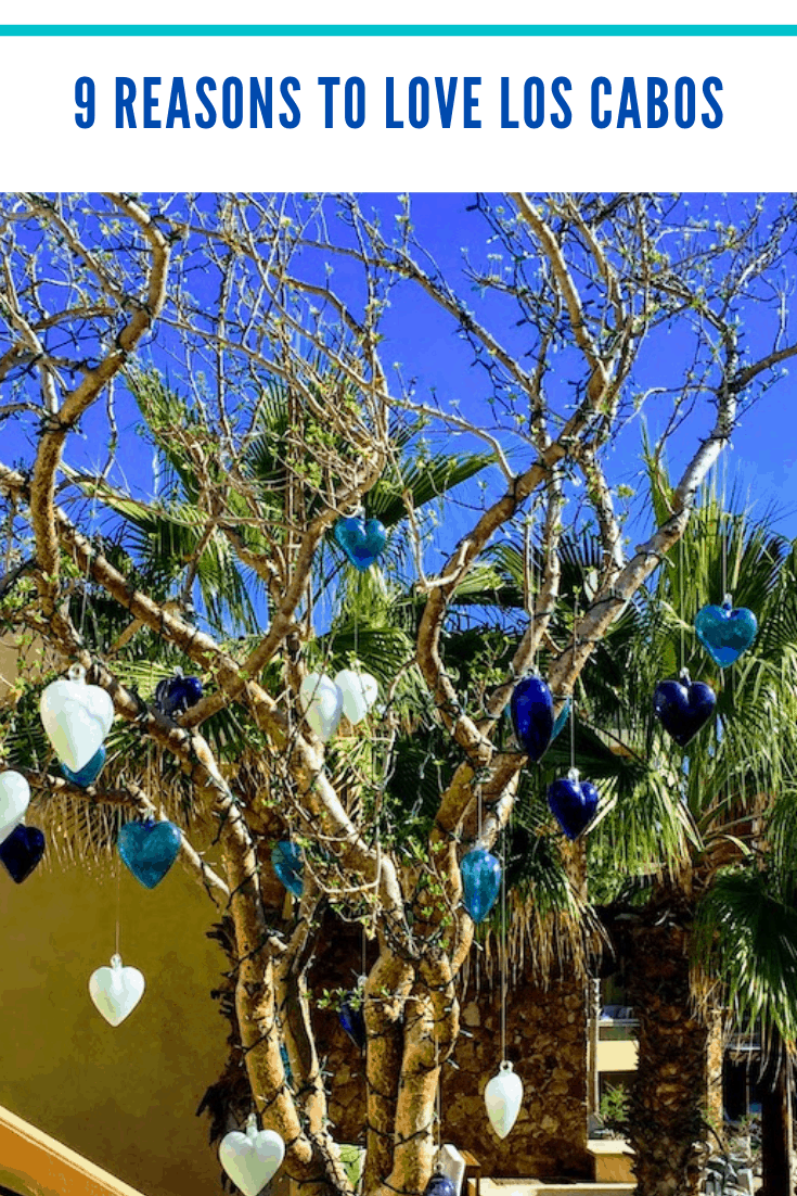 Where is Cabo? 9 Reasons You'll Want to Go There;