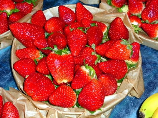 Berry delicious
