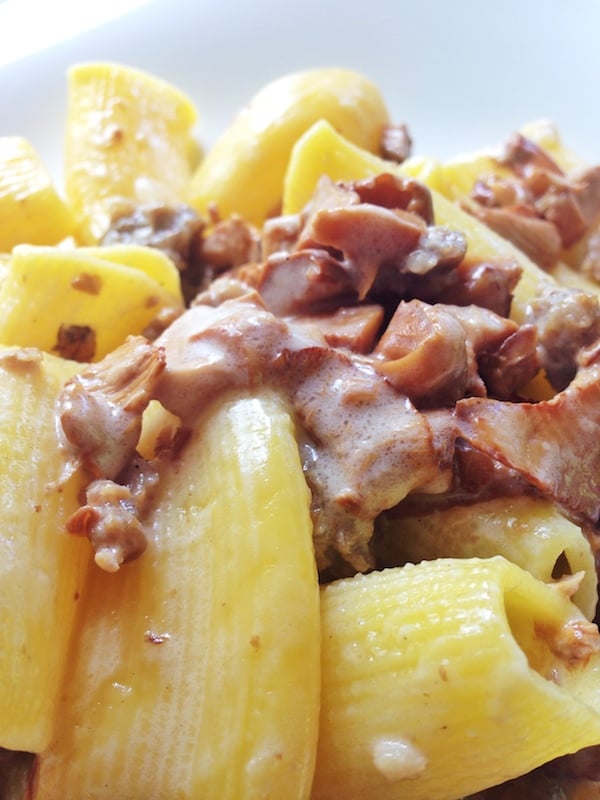 Rigatoni ai funghi (mushrooms) with parmigiano (Photo courtesy Flora Pinotti Sano)