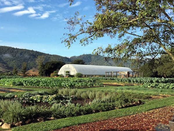 Chef Thomas Keller's Organic Farm in Yountville (Credit: Jerome Levine)