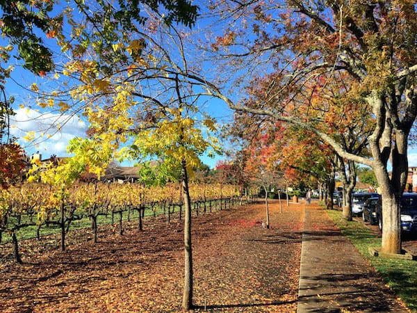 Downtown Yountville in Napa Valley during Cabernet Season (Credit: More Time To Travel)