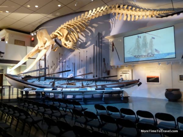 Huge sperm whale skeleton that dominates the main hall in the museum