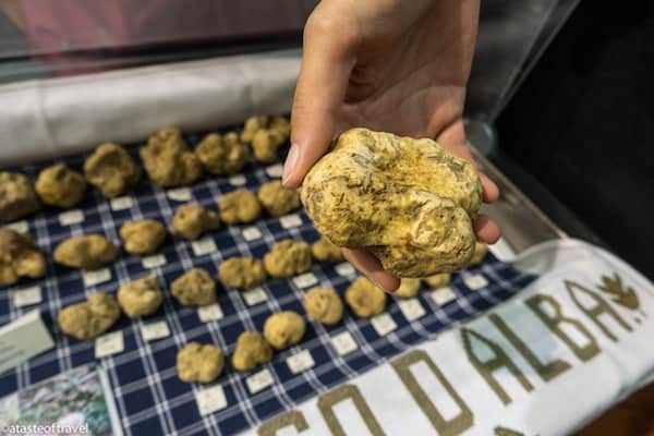 Alba White Truffle Fair
