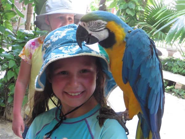 Family-friendly Dreams Riviera Cancun: Through the eyes of grandchildren
