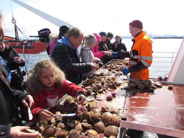 Fresh from the sea: Scallops and urchins