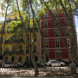 Lisbon Street Scenes