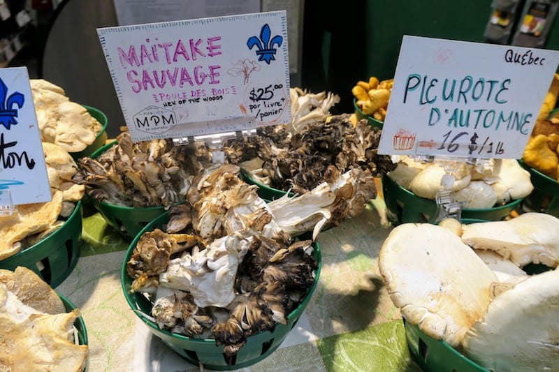 Wild mushrooms