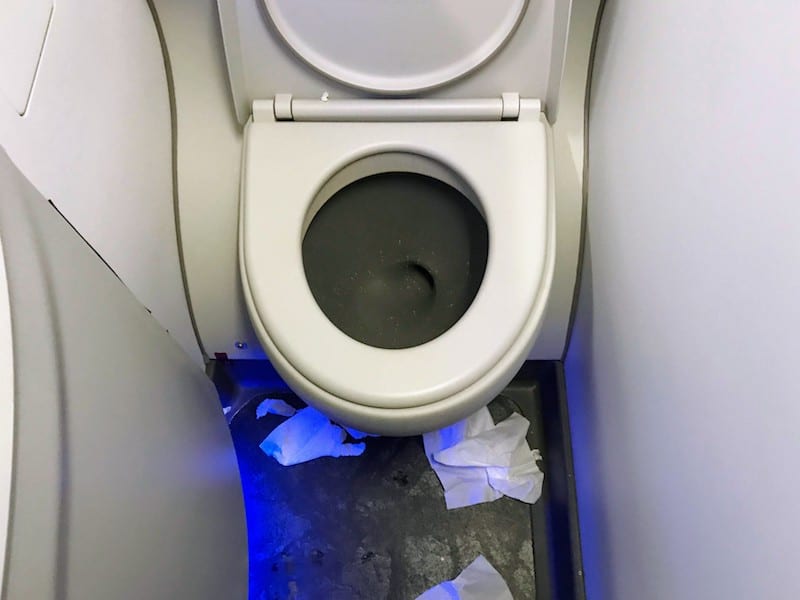 Is Delta Comfort Plus worthwhile on a domestic flight? Case in point: The disappointing lavatory