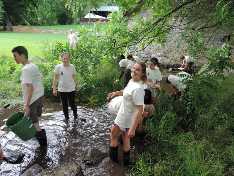 Volunteers removing exotic plants