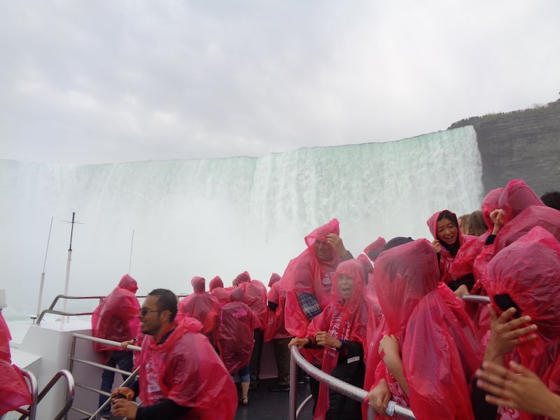 Niagara Falls: Wet...and loving it