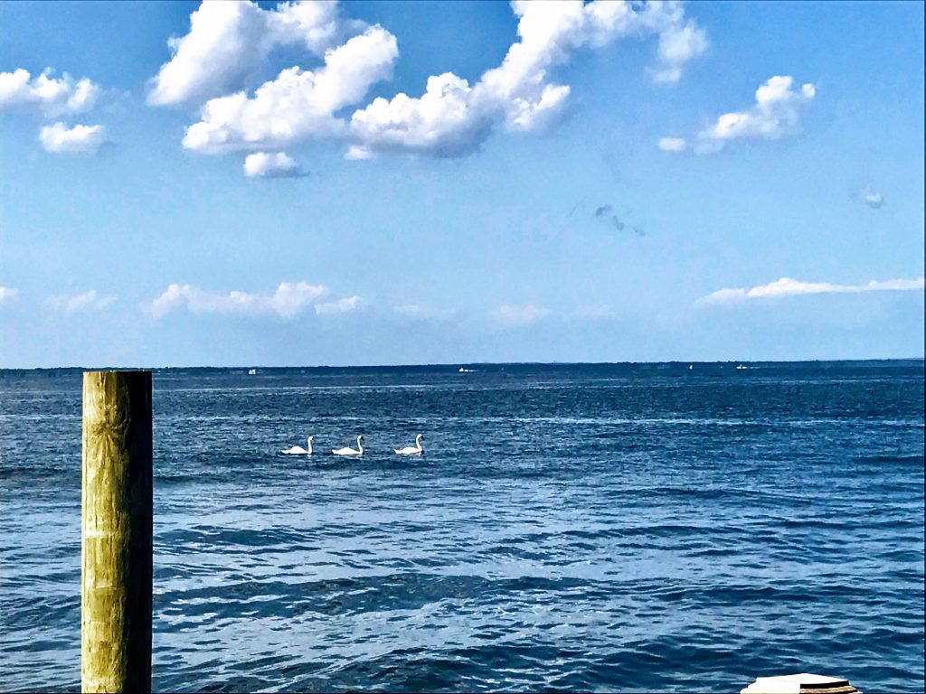 What to do on Fire Island: The view from Matthew's Seafood House on Ocean Beach