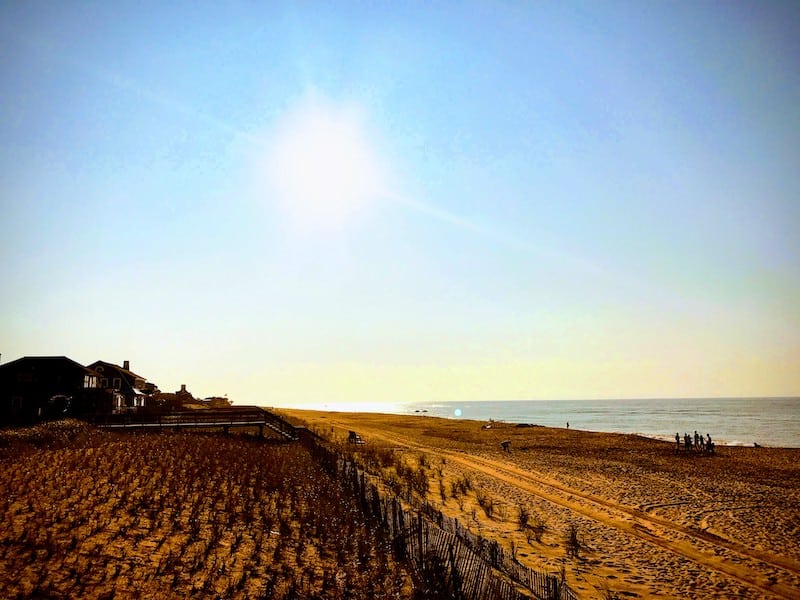 Grassy Dunes on the ocean side of Fire Island