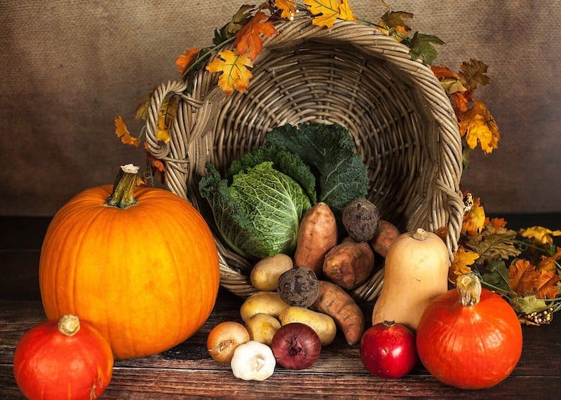 Thanksgiving cornucopia