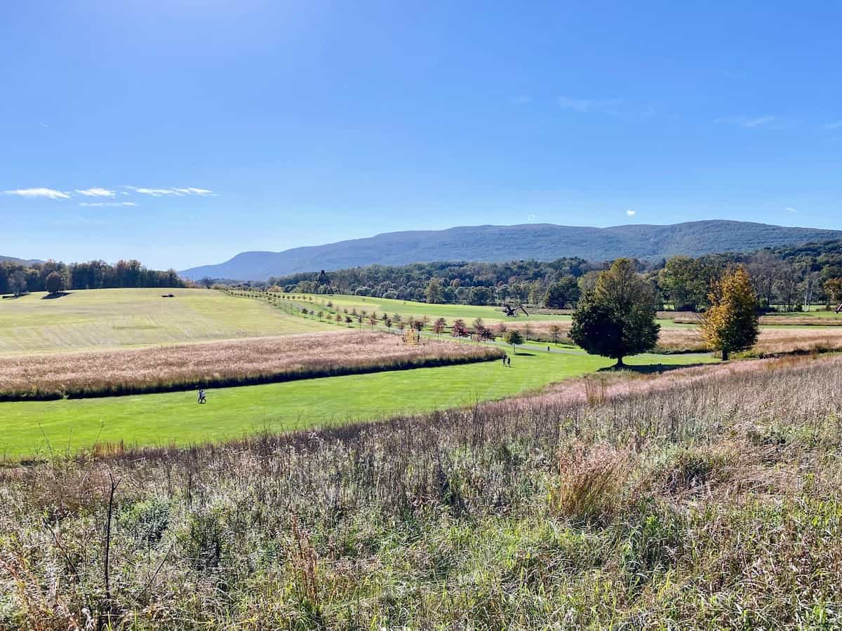 Scenic view of the landscape at Storm King (credit: Jerome Levine)