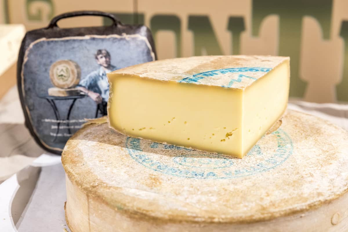 Italian Gourmet Foods: DOP Fontina Cheese
