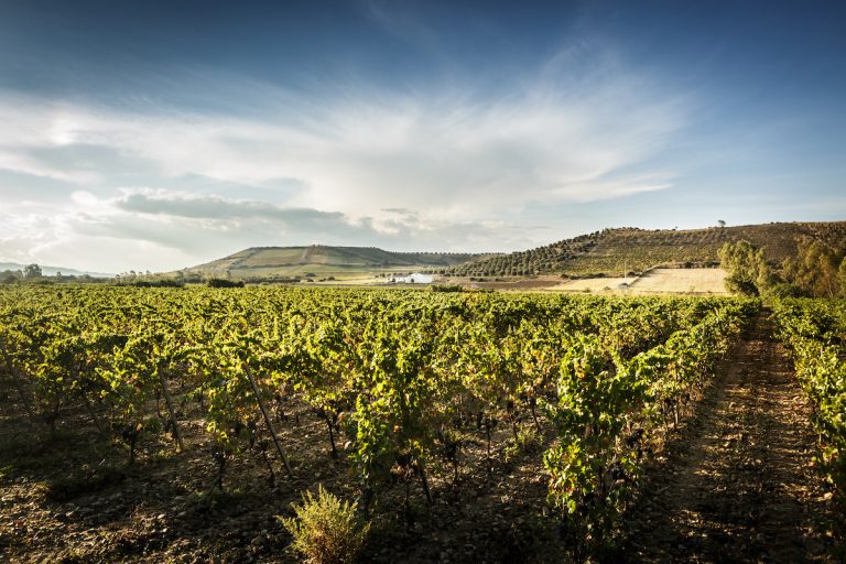 A Virtual Trip to Sardinia with Winemaker Antonella Corda