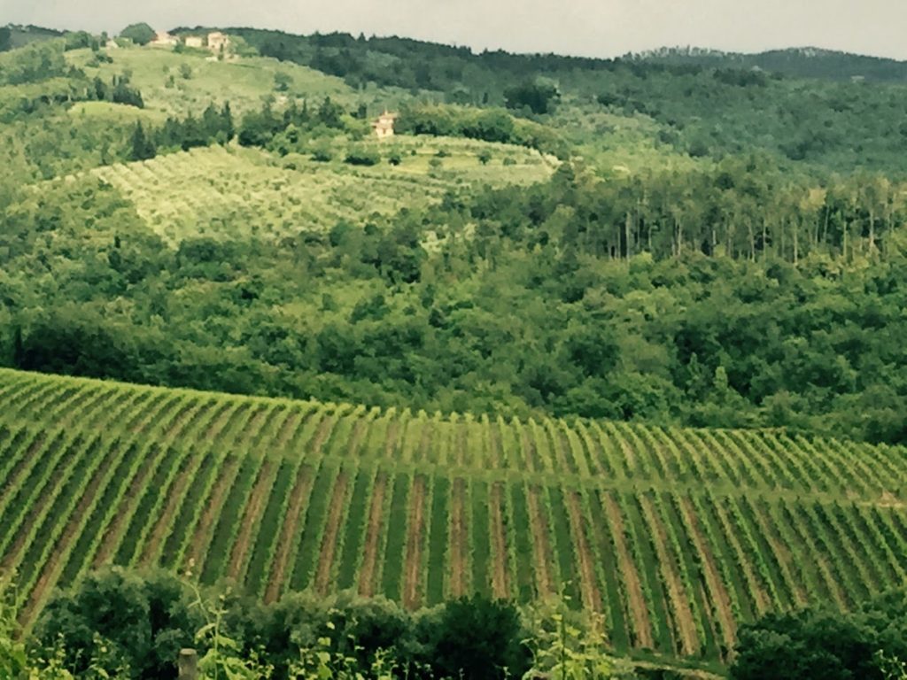 The Legal Drinking Age in Italy 2024 MORE TIME TO TRAVEL