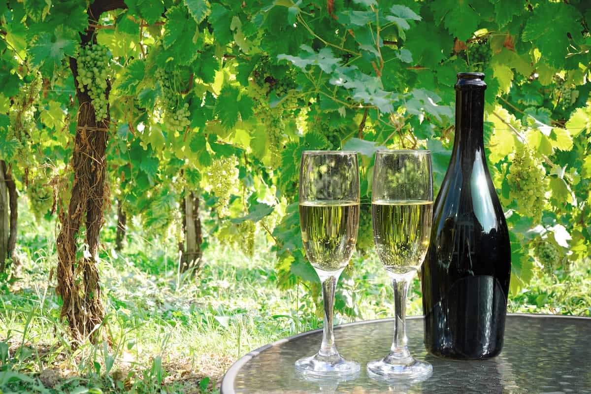 An A-Listers Guide to Italy
