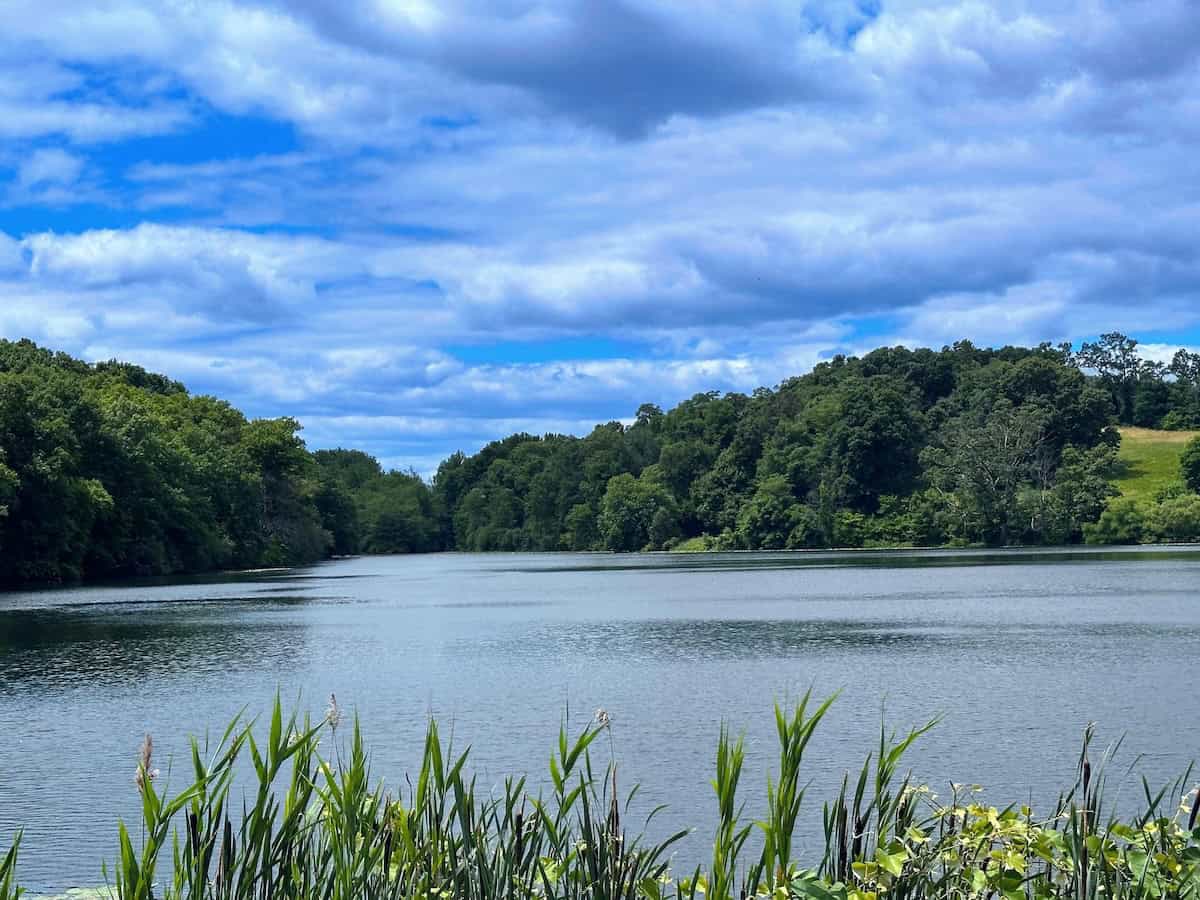 Rockefeller State Park near our home (credit: Jerome Levine)