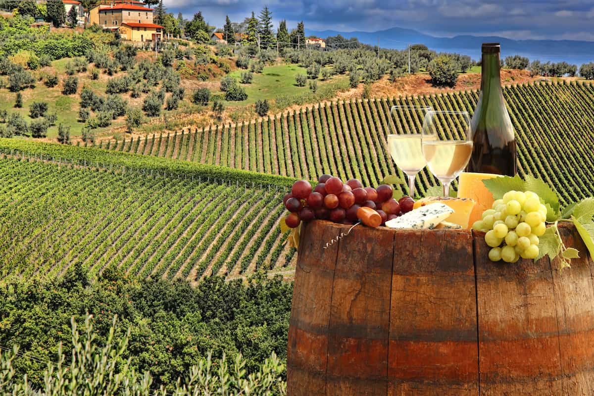 Italy's Best Wine Tasting Tours - Italy's Renowned Wine Regions