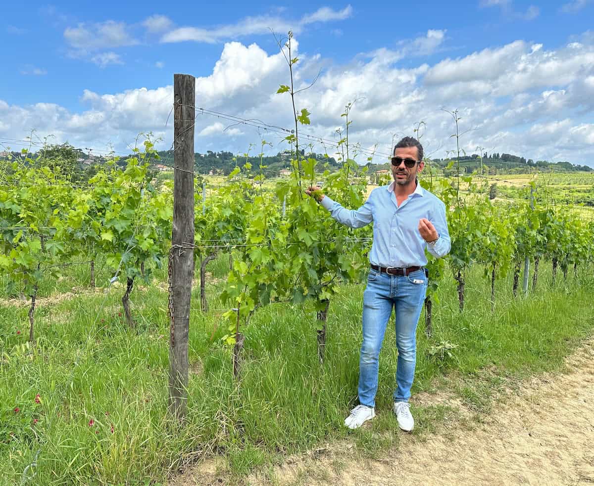Nicola Cantoni, President of the Terre di Pisa Wine Consortium