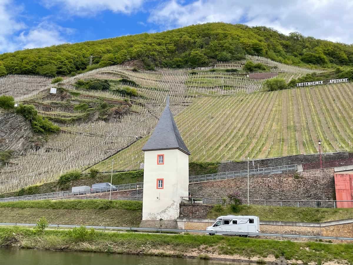 Endless vineyards along the Moselle River