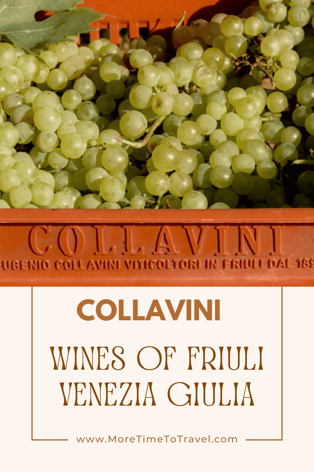 collavini pin