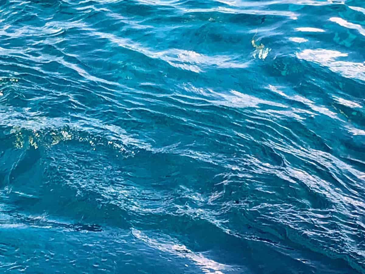 The open seas are beautiful to look at but can be rough on your hair