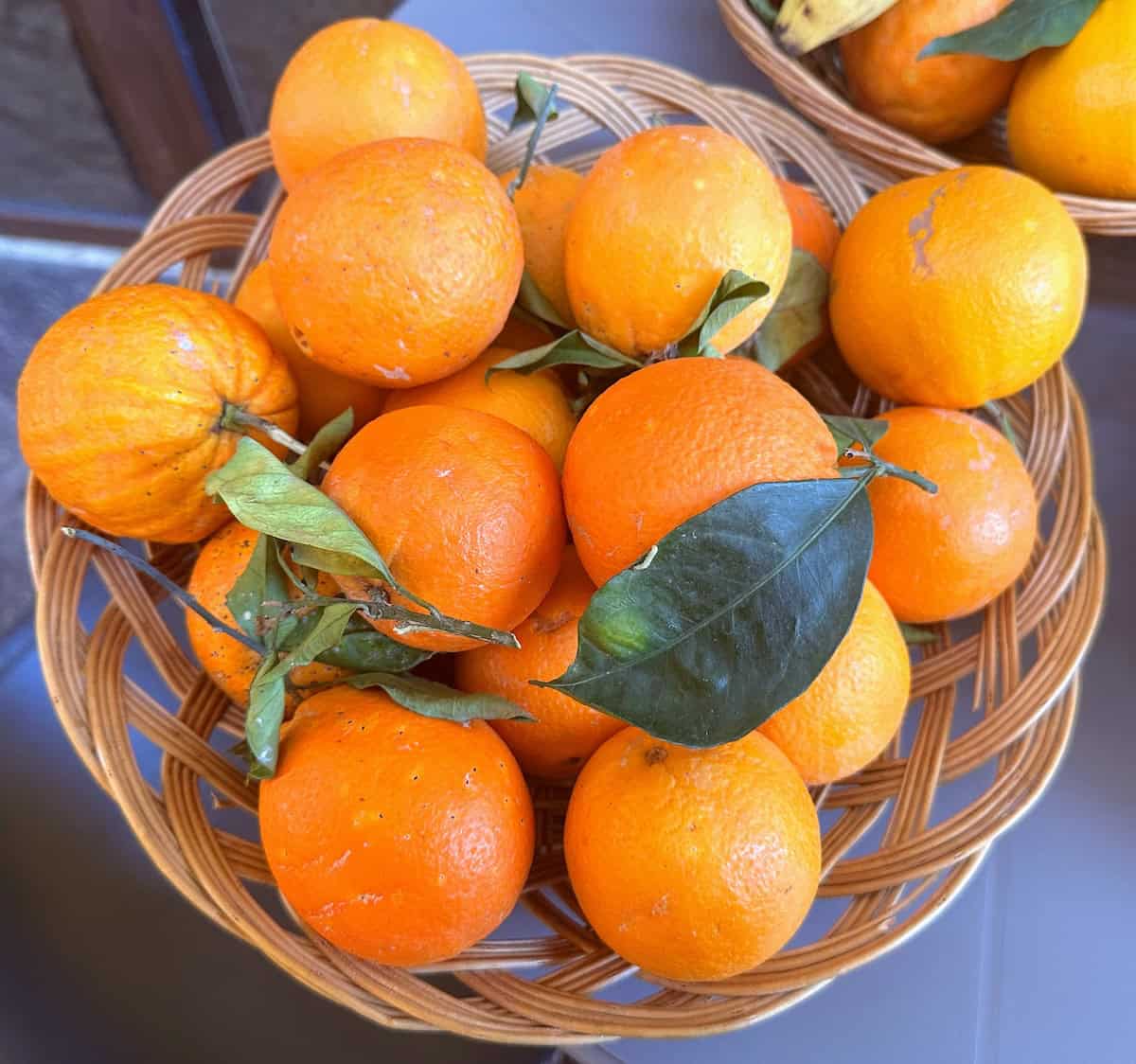 Ribera, Agrigento is know for its PDO oranges (credit: Jerome Levine)