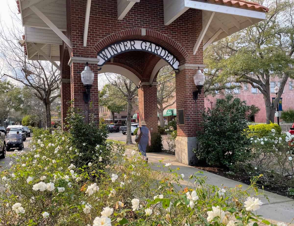 A Winter Garden streetscape (credit: John and Sandra Nowlan)