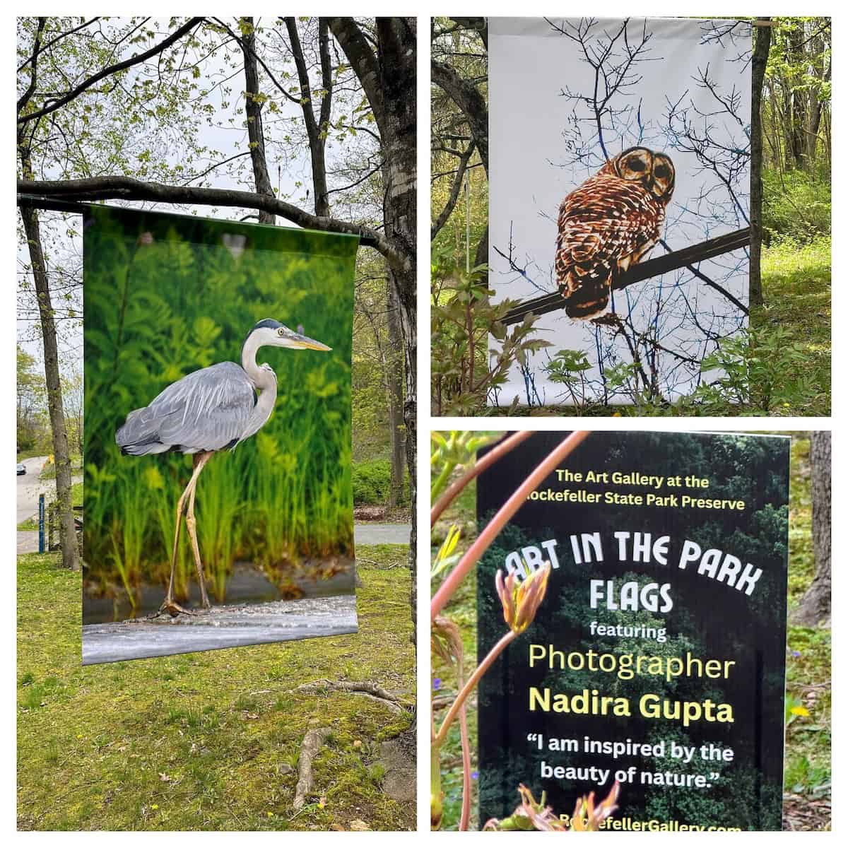 This year's art in the park at Rockefeller State Preserve (credit: Jerome Levine)