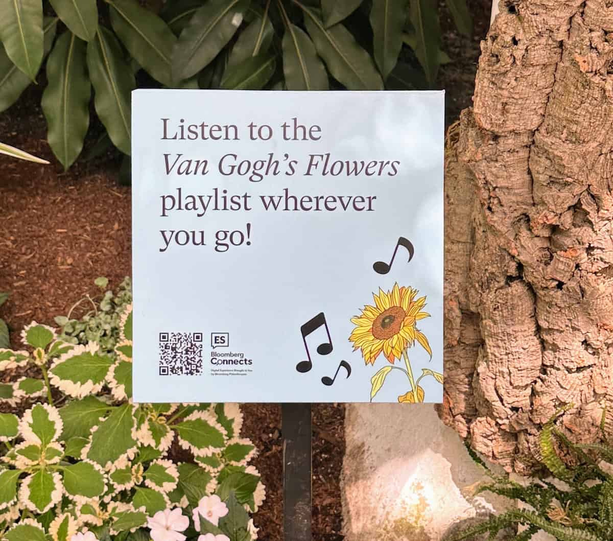 A Spotify playlist added to the ambiance of southern France at the van Gogh Exhibit at the New York Botanical Garden (credit: Irene S. Levine)